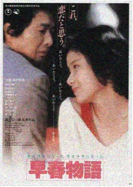 迷人的保姆电影海报